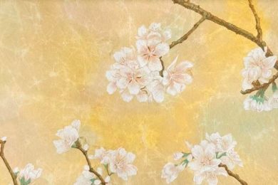 山形県ってどんなところ？～大学編：芸工大の魅力紹介～